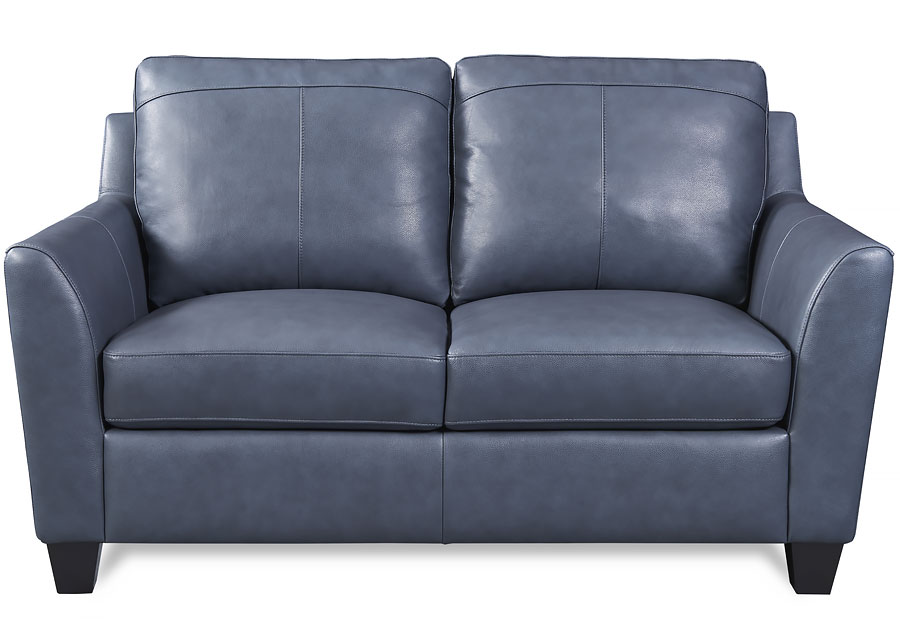 Leather Italia Keenan Blue Leather Match Sleeper Sofa with Upgraded Memory Foam Mattress and Loveseat