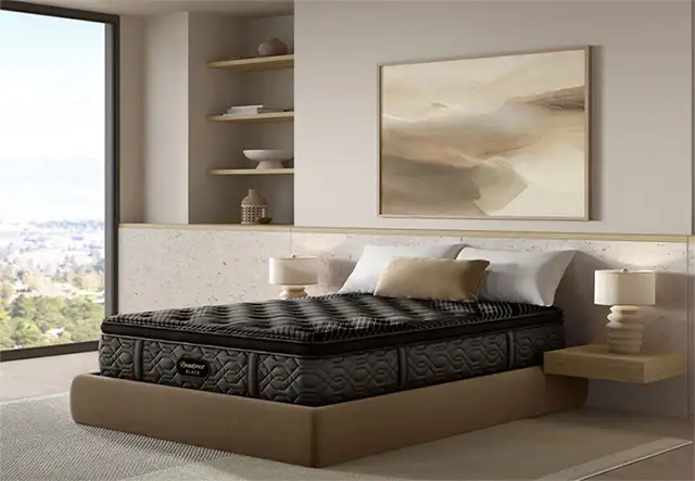 BeautyRest black series mattress.